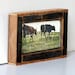 Petite Rustic Framed Farm Photograph  - Watching the Cows Come Home