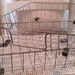 Reserved for Krystal Vintage Set of Simple Wire Desk Organizer Trays