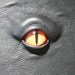 Mythical Beast Book (The Watchful Eye)