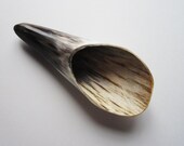 Buffalo Horn Scraper- Exfoliator - Scoop - You Decide