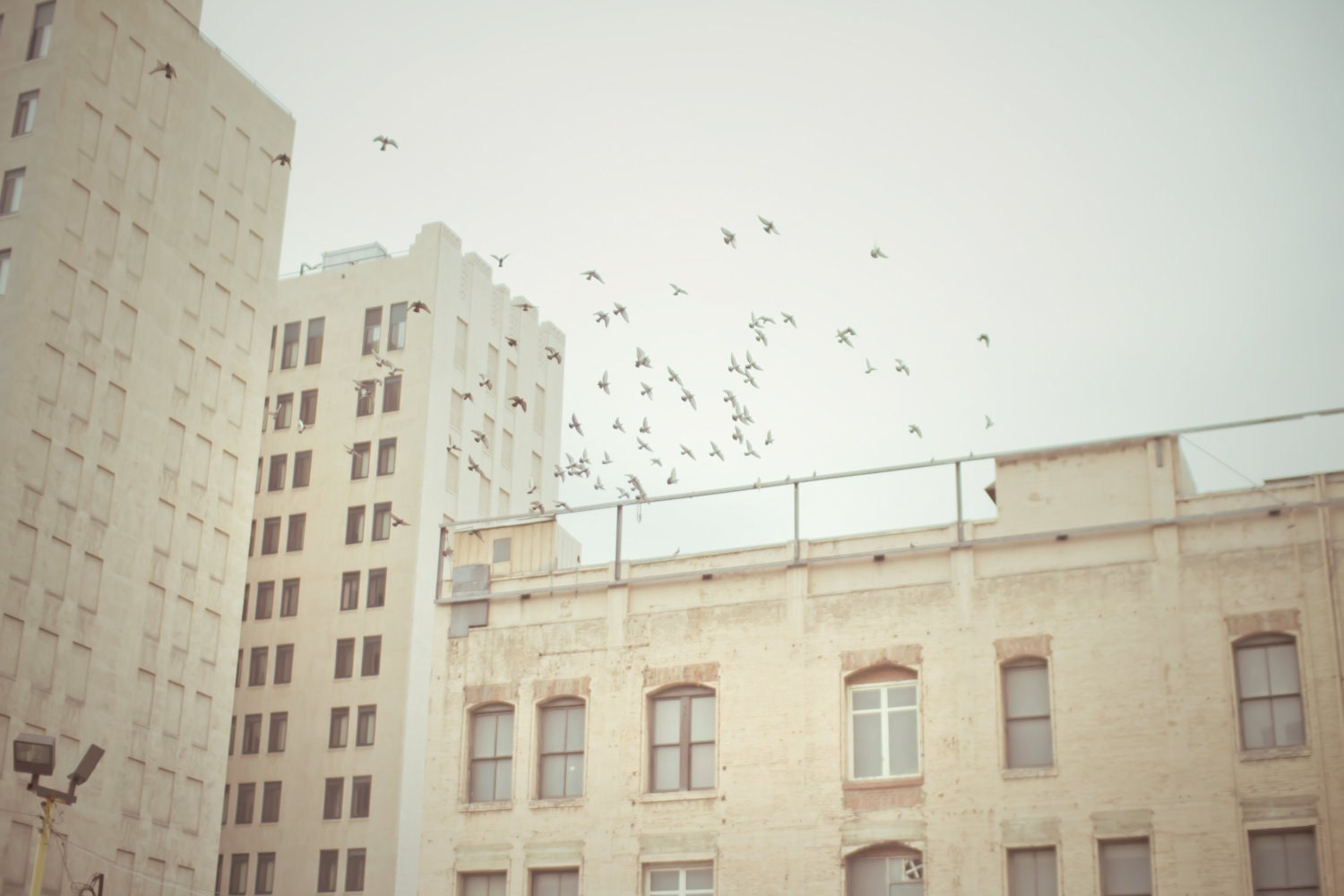 Cityscape Photograph - California Photograph - Buildings 3 : Los Angeles