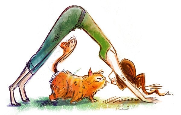 Downward Dog Upward Cat