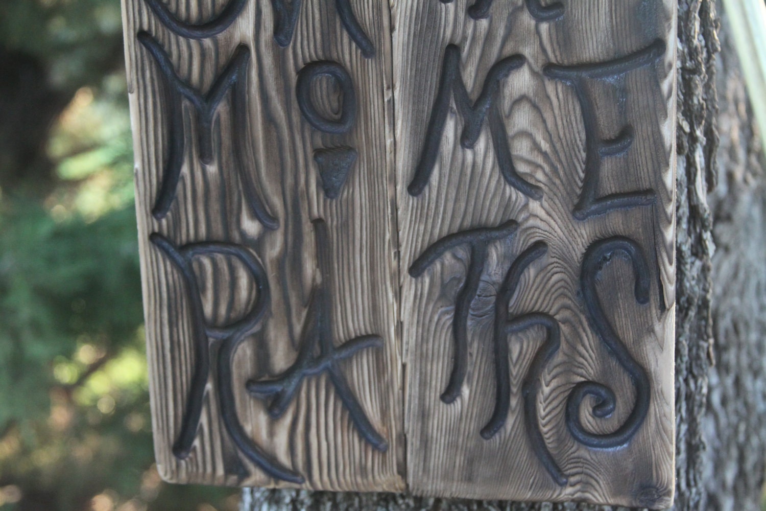 Carved wood sign from reclaimed wood -  Alice in Wonderland Dont Step on the Mome Raths --  whimsical - western cedar