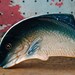 vintage c. 1920s-40s fish shaped plates // set of 4 four // made in Japan