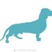 Dachshund Dog Art Print