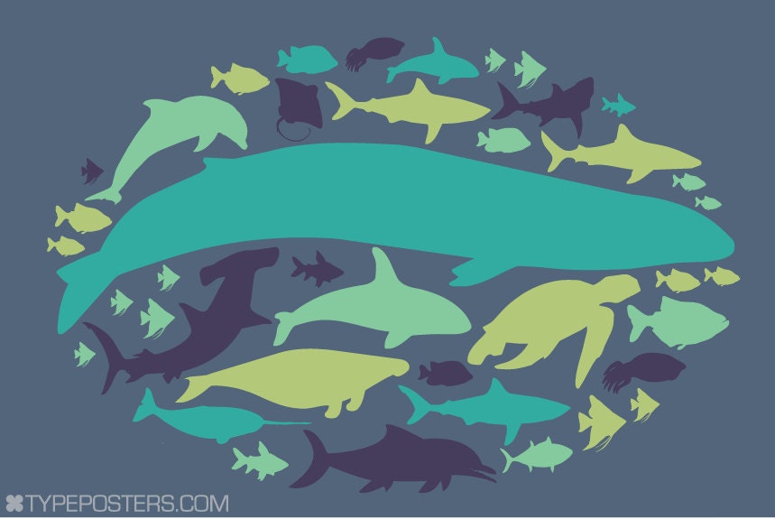 Of The Ocean - 24x36 Sea Creature Art Print