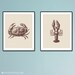 The Crab and The Lobster - Art Print Duo - 8x10