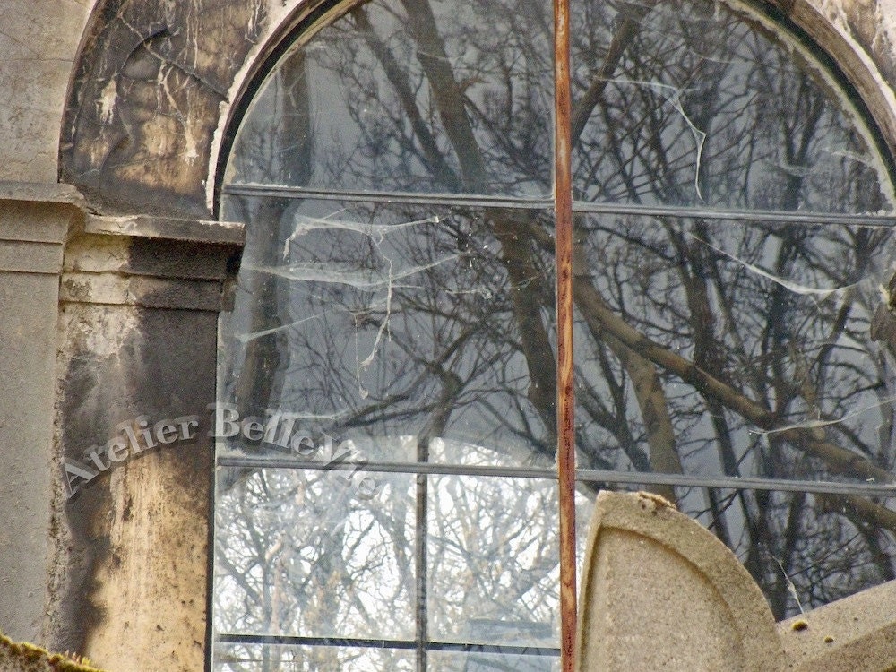 Les Toiles d'Araignée - The Cobwebs of Père Lachaise - 8x10 Fine Art Print -Paris, France - Photography