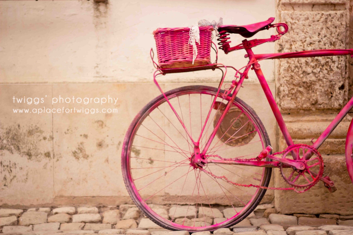 The Lady in Pink 8x12 Original Fine Art Photograph - vibrant pink vintage bike romantic whimsical