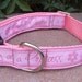 Dog Collar - Disney Princess - Pretty as a Princess img