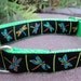 1" Dog Collar Adj. Quick Release(L)- Dragonfly -- Sm, Med or Lge (Or as a Martingale) Choose web color img