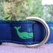 1" Dog Collar Adj. Quick Release - Green Whales - Sm, Med or Lge /Or add Martingale upgrade