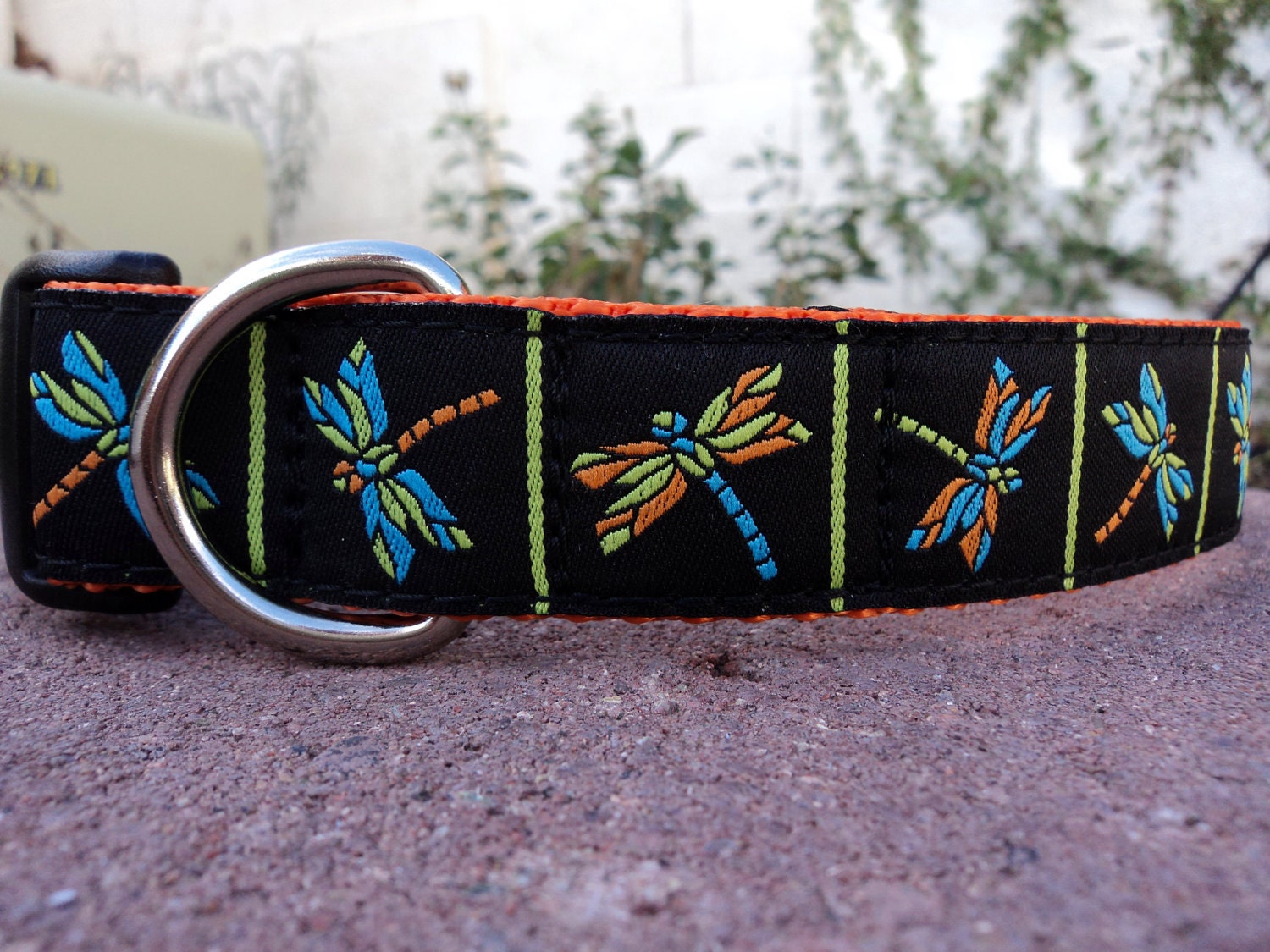 1" Dog Collar Adj. Quick Release(L)- Dragonfly -- Sm, Med or Lge (Or as a Martingale) Choose web color img