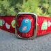 1" Dog Collar Birds of a Feather img