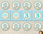 PRINTABLE Boy Owl Party Circles (Personalized) Il_170x135