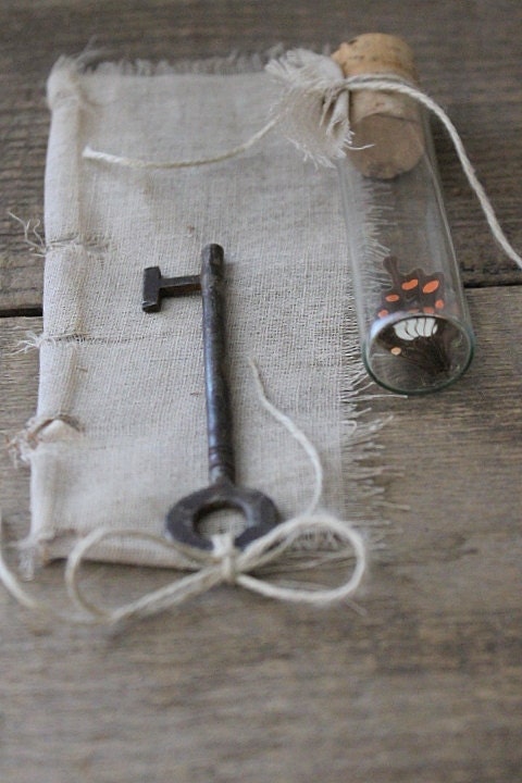 the little things no.1-skeleton key and butterfly wing in vial