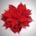Felted RED flower brooch