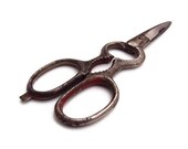 RARE Antique Scissors By R H Macy & Co. (Macy's), Vintage Scissors with Bottle Opener and Nut Cracker, Collectible Shabby Chic Home Decor - YesterdaysSilhouette