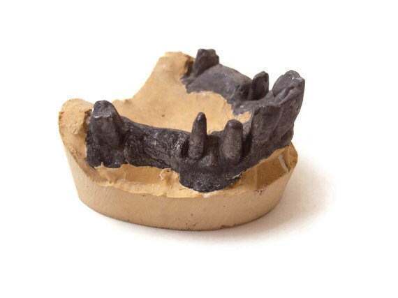 Antique Teeth, OOAK Original Dental Cast, Creepy Metal Tooth Sculpture, Antique Dentistry Collectible, 1940's Steampunk - YesterdaysSilhouette