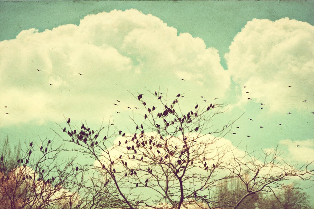 Photograph Birds in a tree on a Pastel sky Fine Art Metallic Print photo 8x12 Fine art photography home decor