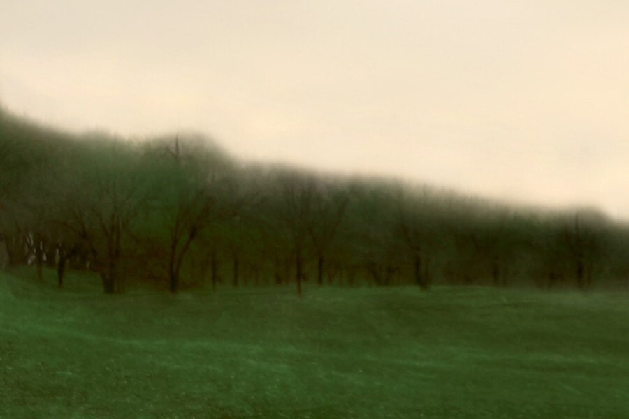 Green Trees Abstract Fine Art Photo 4x6 - SylviaCPhotography