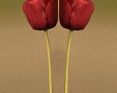 Mirror Red Tulips Textured Bokeh Fine Art Photo 8x12 Metallic Print
