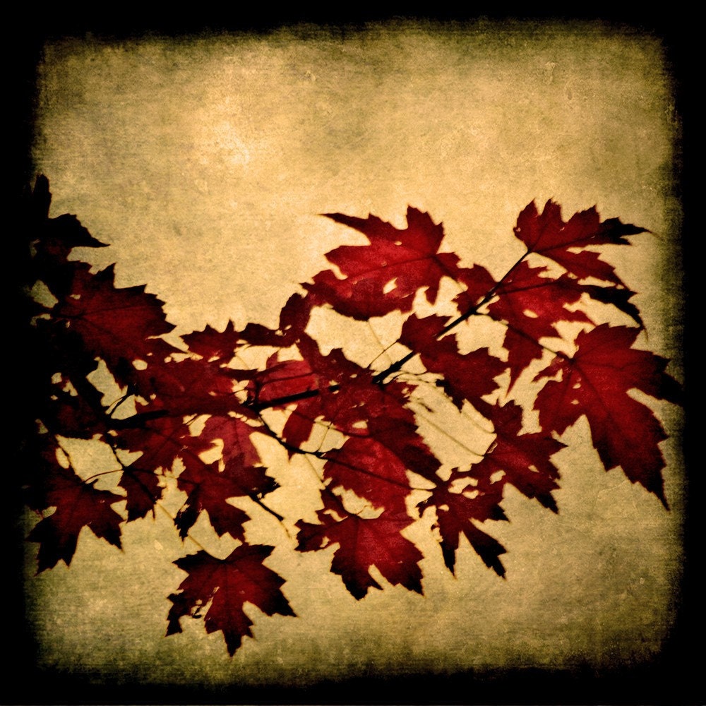 Garnet Red Leaves with Gothic Grunge Texture Fine Art Metallic Photo Print 5x5