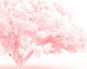 Frosted Pretty Tree Fine Art 8x12 Metallic Dream Like Photo Print