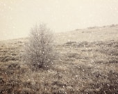 Surreal snowy landscape Photograph Fine Art Photography Metallic photo Print 8x12 - SylviaCPhotography