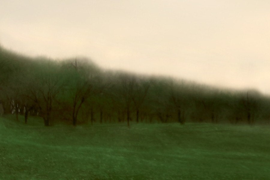 Green Trees Abstract Fine Art Photo 4x6