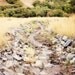 Canyon Stream Photograph Fine Art Photo 4x6