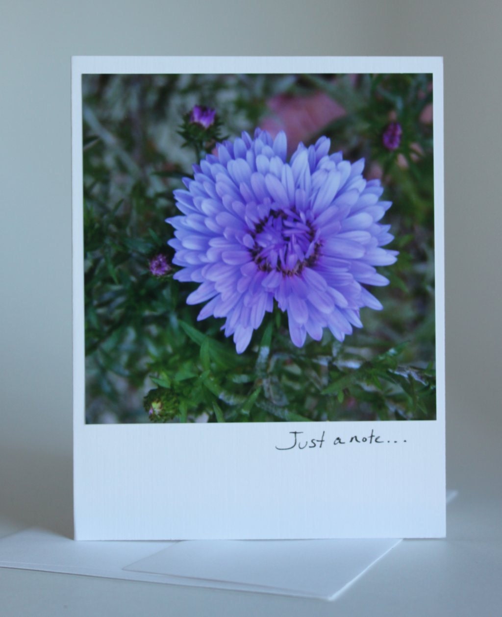 Purple flower photo floral blank greeting card