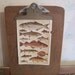1910 Book Plate of Fish