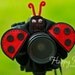 Lens Bling - Ladybug