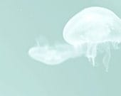Nature Photography- 8x10 underwater photo nursery decor children room art teal white dream ocean floating water
