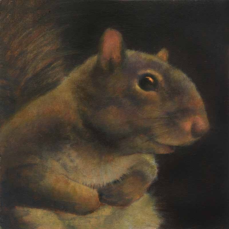 Squirrel Portrait Profile