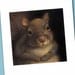 Squirrel Portrait