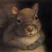 Squirrel Portrait
