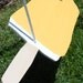 Dreamsicle Swing Popsicle Swing Summer Swing Tree Swing
