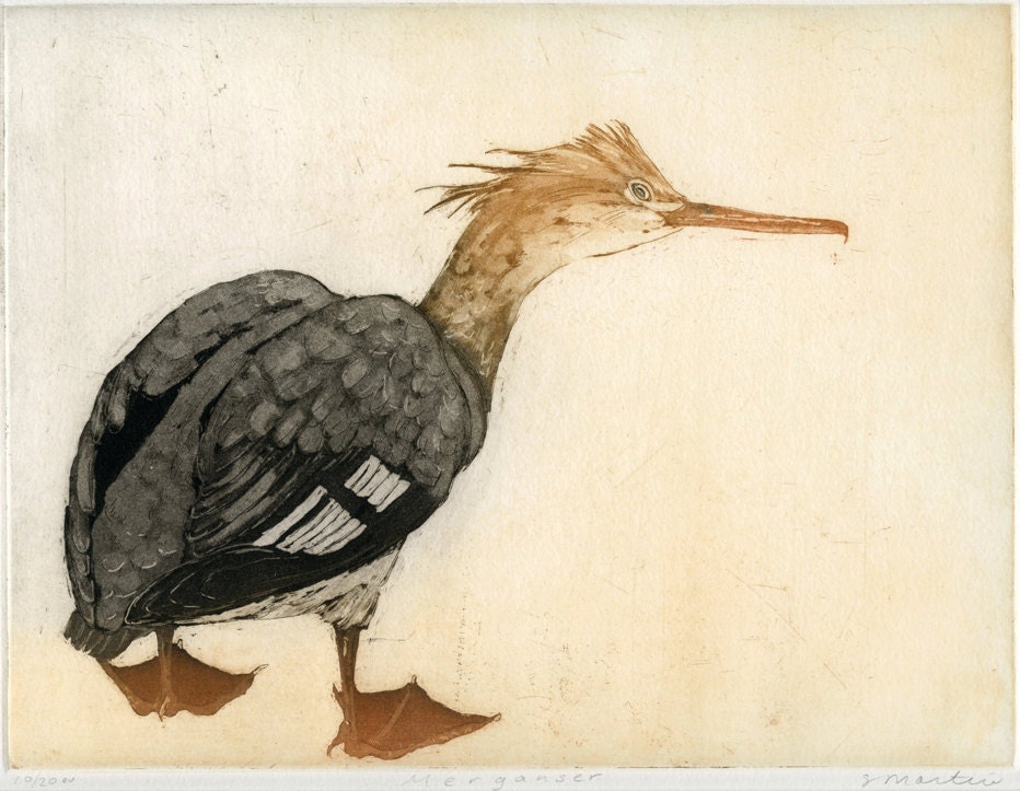 Red-Breasted Merganser, Original Etching