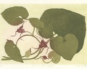 Wild Ginger Fine Art Etching