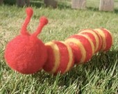 Giant Felted Caterpillar