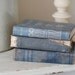 Set of 3 Antique Books in Shades of Muted Blue