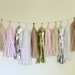 Tissue Tassel Garland-18 tassels- Blushing in the nude