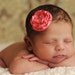 Small Coral Pink Flower on Skinny Headband - Perfect for Baby Headband to Adult Headband