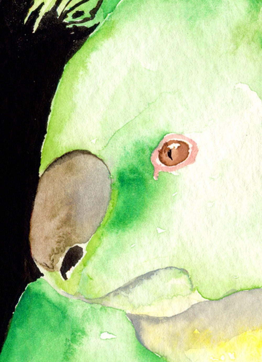 Watercolor Painting - Green Koala Contemporary Australia Wildlife Pop Art