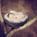 Baby Photo Props Blanket. 2x2 Knit, Furry Cream Shaggy Texture 'Wholesome' PuffPelt Rug Children