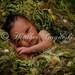 HAMMOCK. Green Newborn Baby Fringe Blanket Photo Prop. 'Verdant' Infant Photography Prop