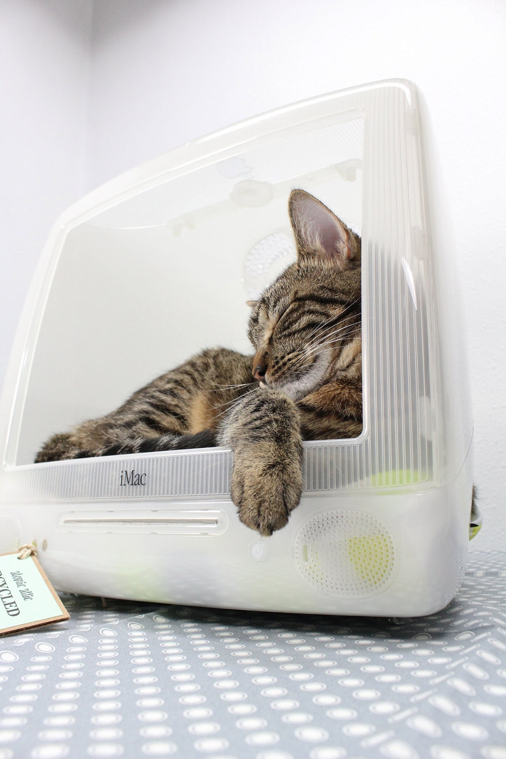 Upcycled Apple Computer Pet Bed - iMac - "Think different"