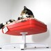 Upcycled Suitcase Pet Bed with Pedestal Base